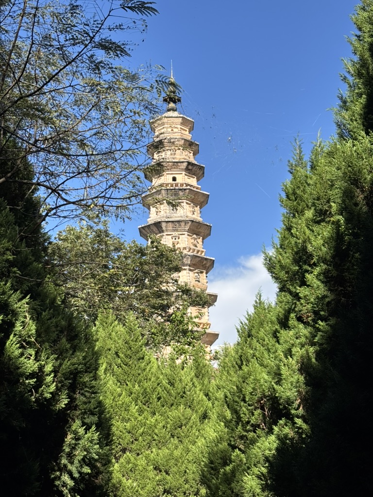A historic pagoda surrounded by trees